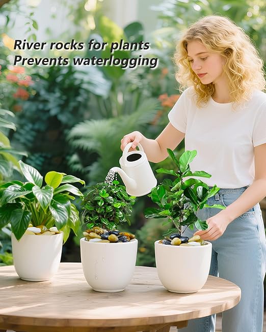 45LB Bulk Polished River Stones, 1"–2.2" Mixed Color Decorative Pebbles for Plants, Aquarium Gravel, Landscaping, Garden Pathways & Vase Filler