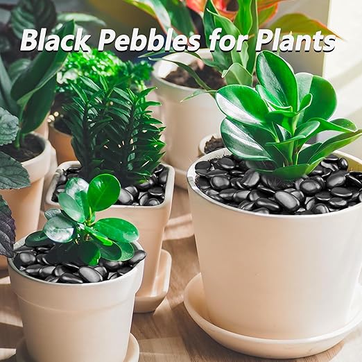 15LB Black River Rocks, 0.5–1.0 inch Pebbles for Indoor Plants, Aquarium Rocks, Fish Tank Gravel, Planters, Decorative Stones for Vase Fillers & Garden Landscaping Highly Polished