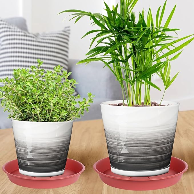 6 Pack of Plant Saucer Tray 4 6 8 10 12 14 17 19 22 25 inch, Heavy Duty Plastic Pot Plant Drip Trays Saucers for Indoors Outdoor, Plant Water Tray for Planters 4-7" (6", Clay)