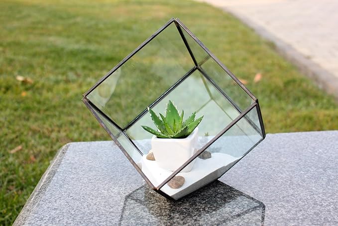 WGV Geometric Planter Terrarium, Width 8" Height 8.5" Clear Glass Black Frame DIY Succulent air Plant Miniature Fairy Garden Windowsill Tabletop Decor, Tilted Cube 1 Piece