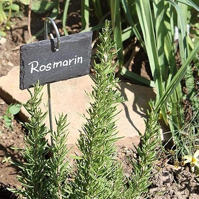 20 Pcs Silver 20cm Plant Label Hooks Garden Markers Stake Plant Label Holder Hanger Plant Sign Stake Rustproof Deformed Garden Plant Sign Hooks Hanging Rods for Flower, Planter