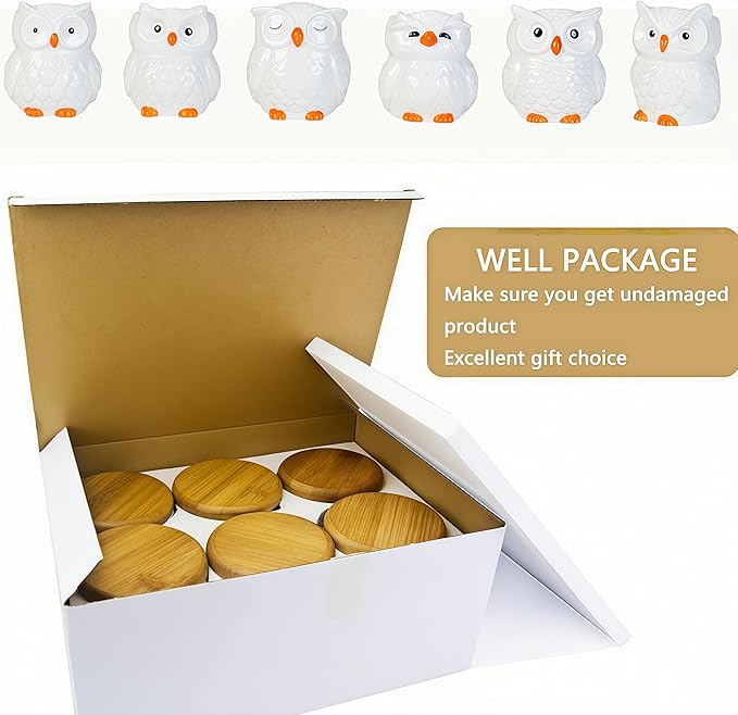 Cute Owl Ceramic Succulent Garden Pots, Planter with Drainage and Attached Saucer, Set of 6, Desk & Home Décor -Plants Not Included