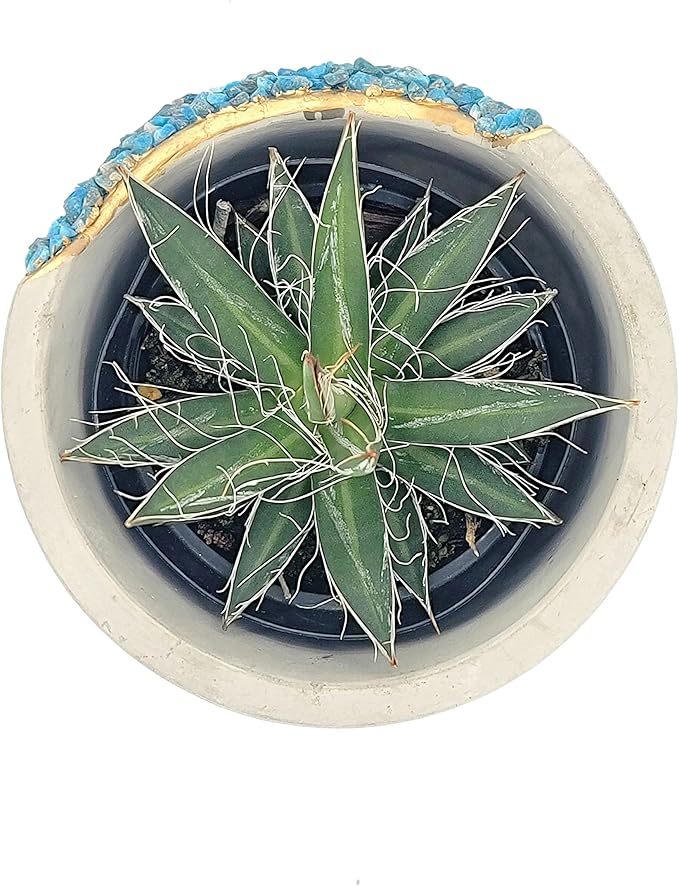 4 Inch Crystal Plant Pot with Saucer - Cement Geode Planter - Concrete Pots for Plants - Modern Succulent Pot Indoor - Unique Air Plant Holder - Candle Holder - Small Plant Home Decor (Blue Apatite)