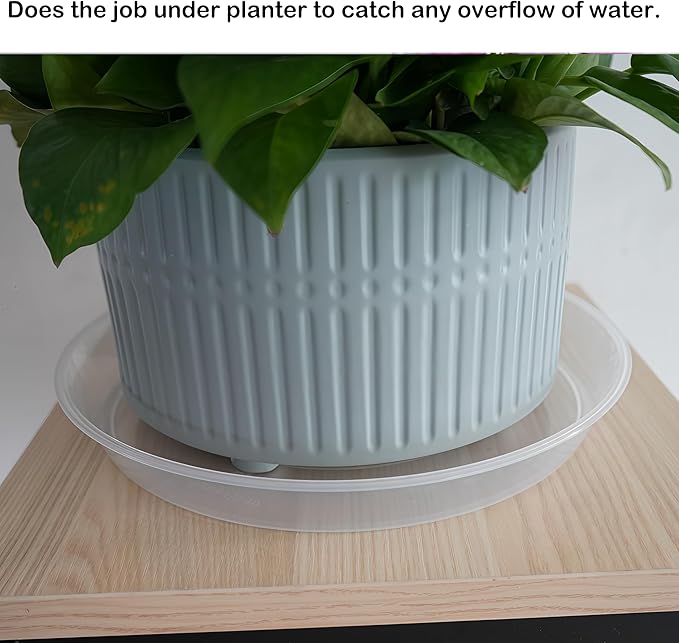 Plant Saucer Tray 12 inch, 6 Pack Plastic Plant Trays Saucers for Indoors Outdoor, Heavy Duty Drainage Drip Water Trays for Planter Pots Flower, Round Pebble Tray, Pots Base (12", Clear)