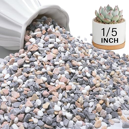 NUPICK 3 lbs Pebbles for Indoor Plants, 1/5 Inch Pea Gravel for Fish Tank, Decorative Rocks for Succulent, Natural River Stones for Vases, Cactus, Landscaping, Bird Bath, Aquarium, Mixed