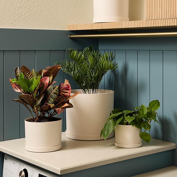 Bloem Mathers 6" Vanilla Bean Round Modern Resin Garden Planter Pot with Drainage Holes and Removable Saucer Tray Included