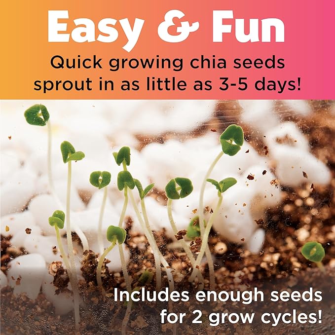 Creativity for Kids Plant and Grow Unicorn Forest: Terrarium Kit for Kids, Unicorn Toys and STEM Kits, Easter Basket Stuffers & Arts and Crafts for Girls (Ages 6+)