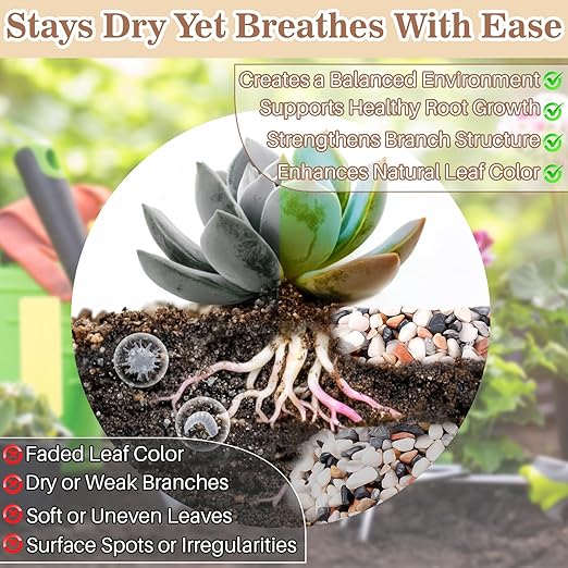 Sukh Mixed Color Pebbles for Succulent and Cactus - 420G 1/5 Inch Succulent Cactus Gravel Pebbles,Natural Decorative Polished River Stones,Small Rocks for Outdoor Gardening,Vases,Landscaping,Fish Tank