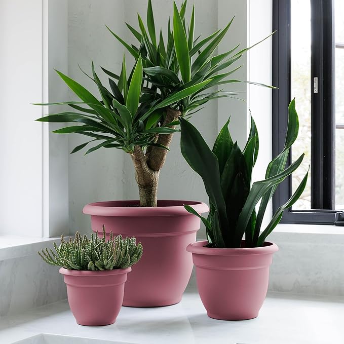 Bloem Ariana 12" Dusty Rose Round Self-Watering Resin Planter Pot - Rolled Rim Indoor and Outdoor Gardening Planter
