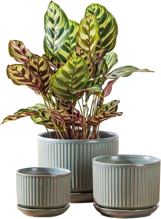 Green Ceramic Plant Pots Set of 3, 4.3+5.5+6.7 Inch Indoor Flower Pots with Drainage Hole & Saucer & Hole Mesh Pads, Striped Decorative Planter Set for Indoor Plants, Gardening Pots & Accessories