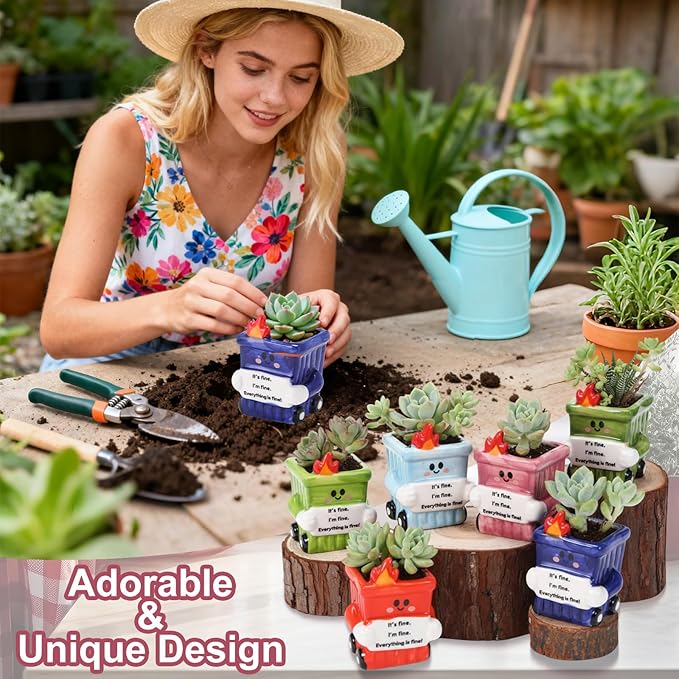 6 Pack 2.5 Inch Dumpster Fire Ceramic Succulent Planter Pots with Drainage Hole, Mini Cute Flower Pots Container for Home Office Garden Decoration Emotional Support Buddies Christmas Housewarming Gift