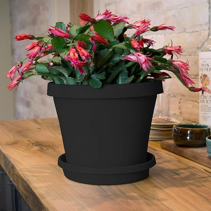 Bloem Terra Resin Saucer Tray: 8" Bottom Width - Black - Matte, Durable, Ribbed Bottom, Indoor and Outdoor, Fits 10" Terra Pots