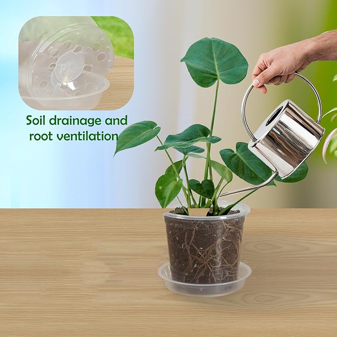 40 Pack 3 Inch Clear Nursery Pots with Drainage Plant Pots for Plants Transparent Potting Containers for Plants Seeding Starter Pot (Clear, 3 Inch 40 Pcs)
