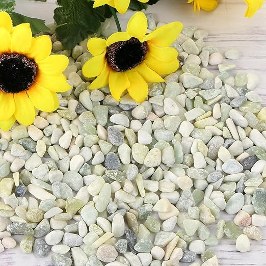MIDELONG 0.44Lb Succulents and Cactus Bonsai DIY Rocks, Jade Bean Pebbles Natural Decorative Polished Stones Vase Fillers Gravel River Rocks for Indoor Plants,Terrarium,Fairy Gardening (6mm-9mm)