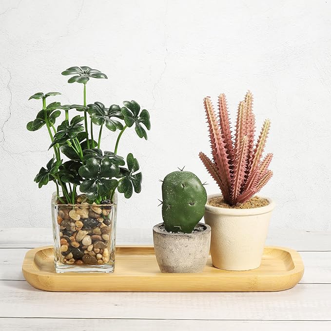 PATIKIL Wood Saucer, 12x5 Inch Rectangular Wooden Plant Drainage Tray Bonsai Plants Saucer Succulent Pot for Home Balcony Patio