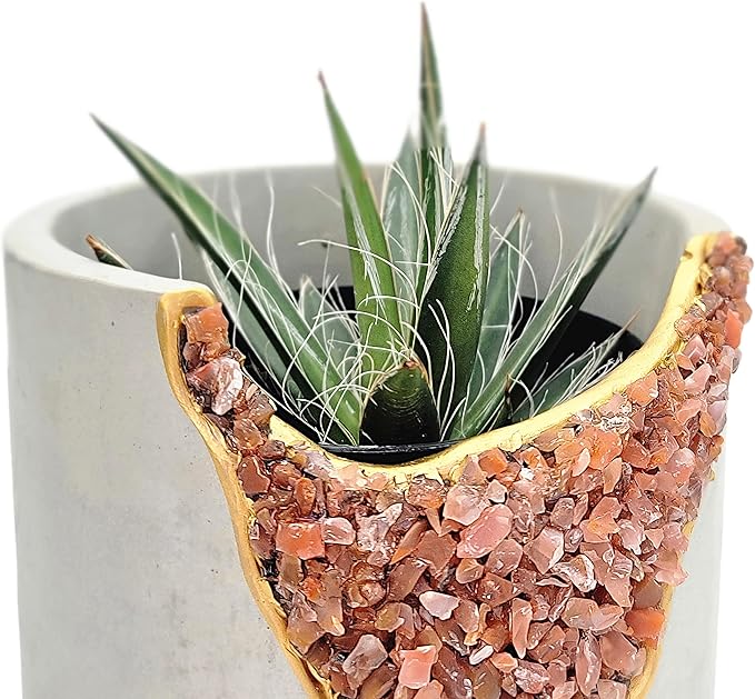 4” Crystal Plant Pot with Saucer - Cement Geode Planter - Concrete Pots for Plants - Modern Succulent Pot Indoor - Unique Air Plant Holder - Candle Holder - Small Plant Home Decor (Orange Carnelian)