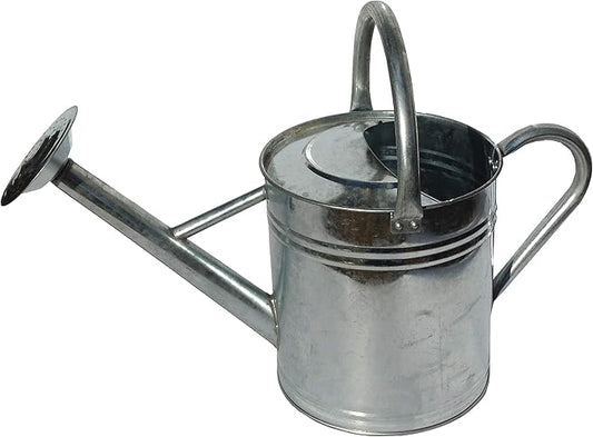 Gardener's Select AW3003P6G Watering Can, Galvanized, 3.5 L