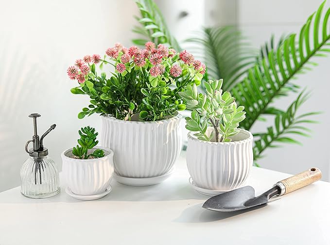 Ceramic Flower Plant Pots with Saucers, Modern Round Ceramic Succulent Planter Pots with White Stripe Texture, Small to Medium Sized, Set of 3