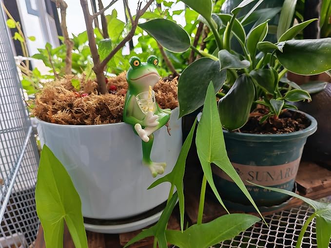 Adorable Miniature Frog Figurines - Perfect Plant Decorations for pots, Frog Garden Decor/Funny Frog Figurines for Stunning Plant and Home Decor