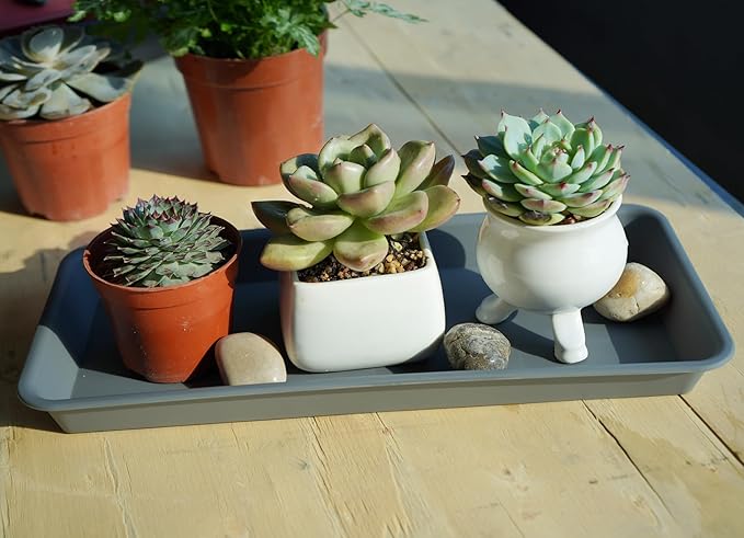 2 Pack of Plastic Plant Tray Saucer Rectangular, Plant Trays Saucers for Indoors Outdoor, Plant Water Drip Tray for Flower Pot Planter, Windowsill Plant Tray (6.5 X 13 Inch, Gray)