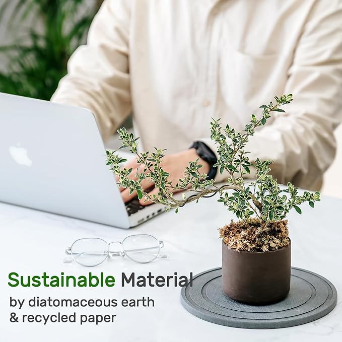 Diatomaceous Earth Plant Saucer for Indoor, 2 Pack 6 inch, Instant Dry Pot Saucer, Plant Drip & Drainage Tray for Indoor, Stone Gray