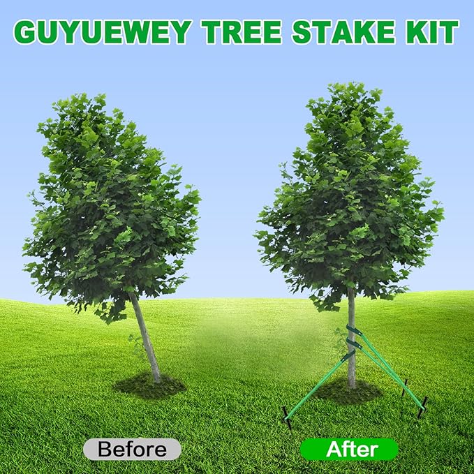 Heavy Duty Tree Stake Kit - Tree Stakes & Straps for Straightening Young Trees, Garden Tree Supports, 6pcs Metal Stakes, 6pcs Rope for Anchoring