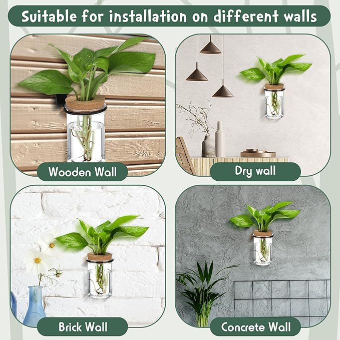 Baderke 6 Set Wall Plant Holder with Plastic Propagation Vases Hanging Planter Wall Mounted Set for Plants Growing in Water Hydroponic Artificial Plants Indoor Decor (2.48" X 3.94",Classic)