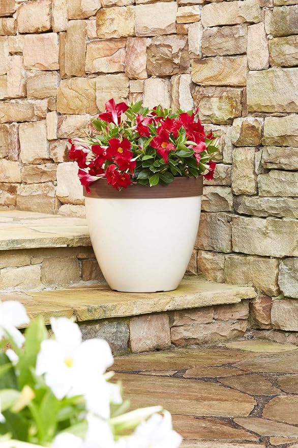Southern Patio Hornsby Resin Outdoor Planter with Drainage Hole and Plug, Beige