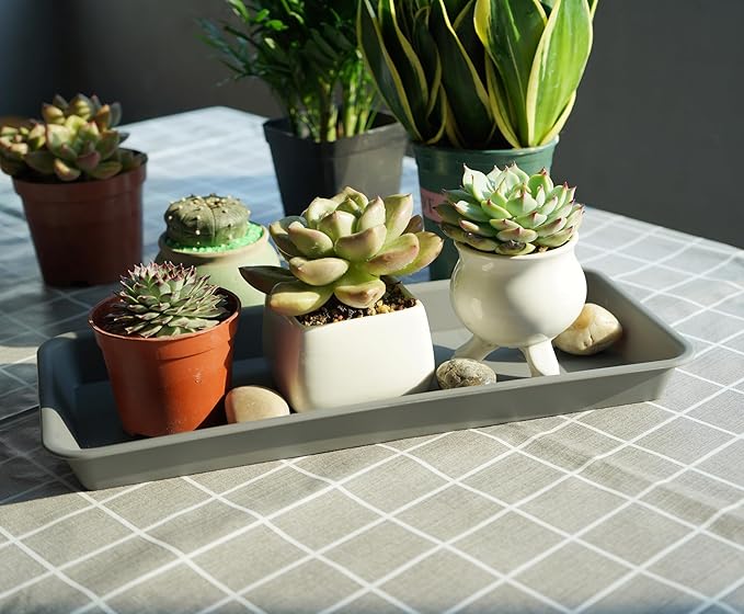 2 Pack Plastic Plant Trays, Rectangular, Indoors/Outdoors, Drip Tray for Flower Pots, Windowsill (6 x 11 Inch, Gray)