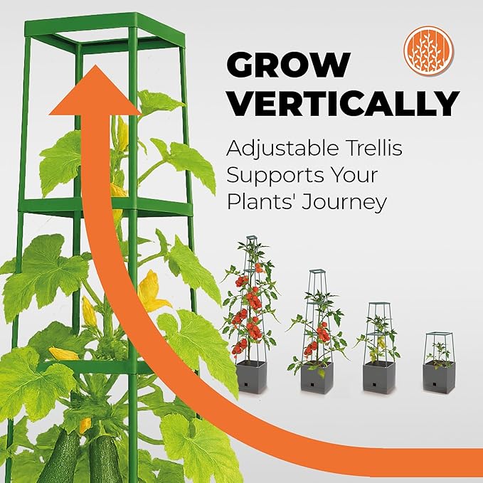BioGreen 2 Pack Garden Tomato Planter MAXITOM, with Plant Support Trellis 59 inch and Self Watering, 4,2 Gal Planter Box for Climbing Vegetables Plants, Gray