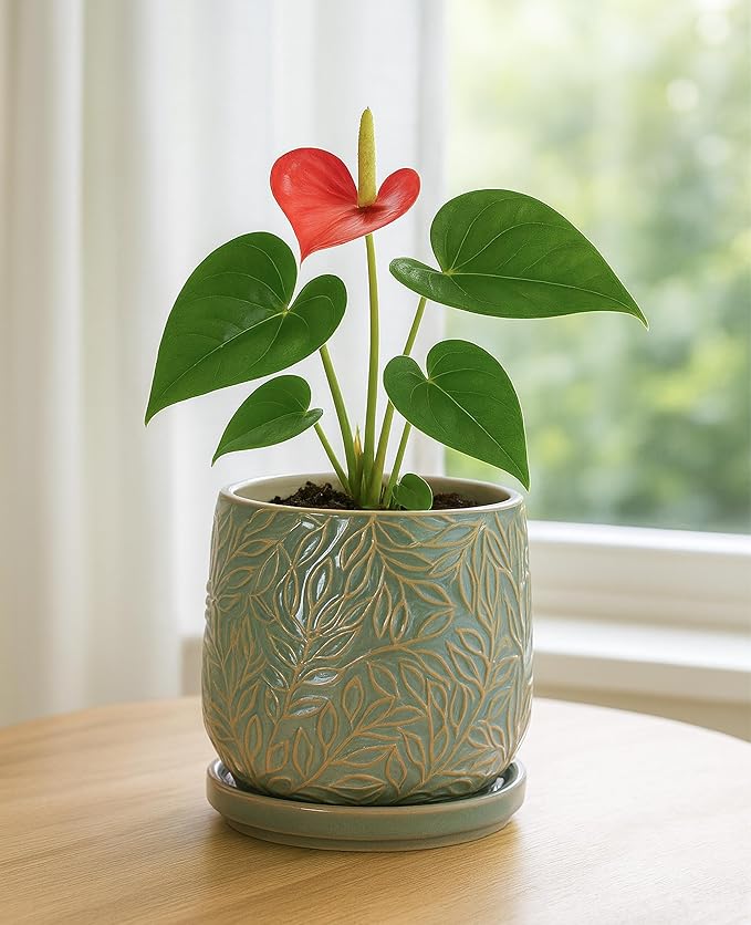 D'vine Dev 5 Inch Embossed Leaves Stoneware Planter Pot with Drainage Hole and Saucer, Olive, 27-A-V-0