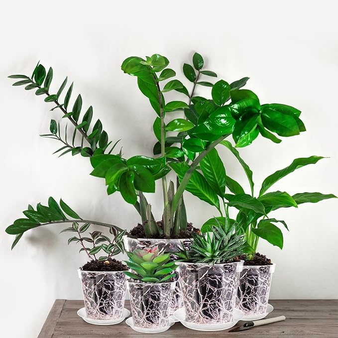 Vesici 6 Sets 4/5/6/7/8/9 Inch Clear Nursery Pots with Saucer Pack Variety Plastic Clear Plant Pots with Tray Drainage Hole for Indoor Plants Flowers Garden
