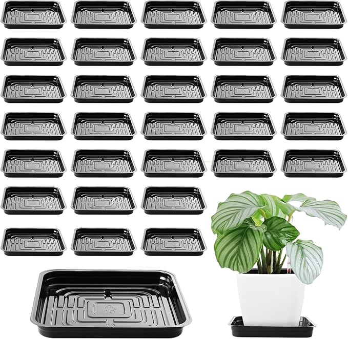 10 Inch Plant Saucer 30 Pack Plant Trays for Pots Square Plant Pot Saucers for Outdoors and Indoors Plant Water Catcher Tray Plastic Plant Trip Trays Saucers for Potted Plants Planter Dishes