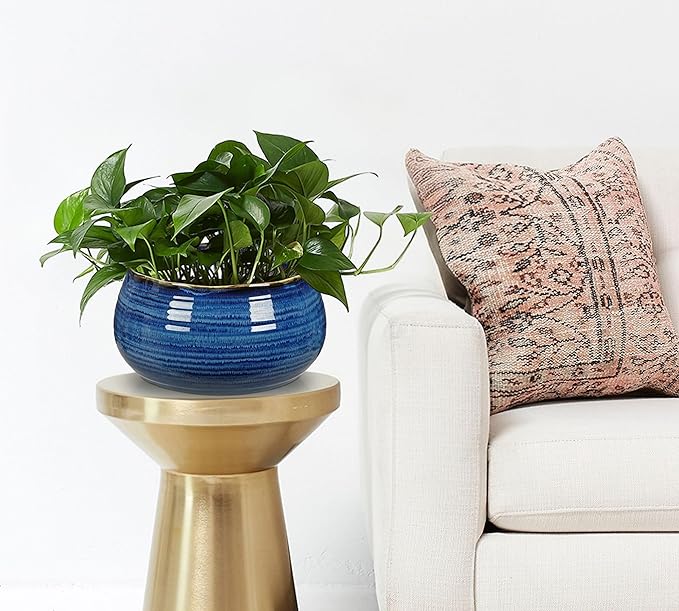 Hollyone Blue Ceramic Planters 6.4 Inch Modern Glaze Pots for Succulent Plants Round Flower Plant Garden Pots Modern Planters Flowers Pots for Indoor Outdoor Snake Plants