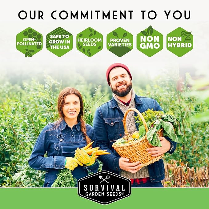 Leafy Greens Seeds Variety Pack – 5 Heirlooms: Viroflay Spinach, Arugula, Lacinato Kale, Salad Bowl Lettuce & Rainbow Swiss Chard – Cool Season Garden Collection - Survival Garden Seeds