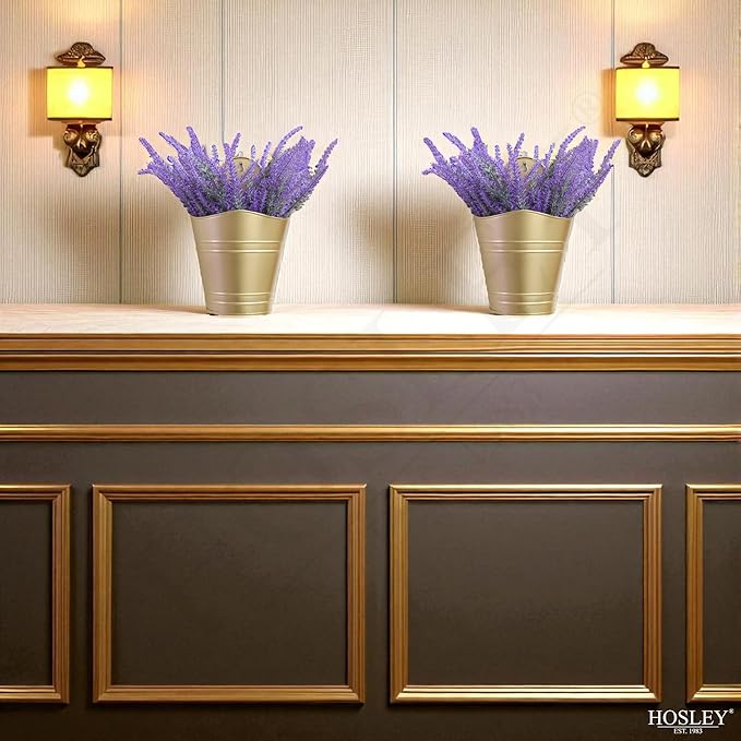 Hosley Set of 2 Gold Wall Planter with PVC Linner 6.25" L x 4" W x 10" H, Ideal Gift for Floral Arrangements Wedding Home Office Party DIY Indoor Outdoor Garden Patio