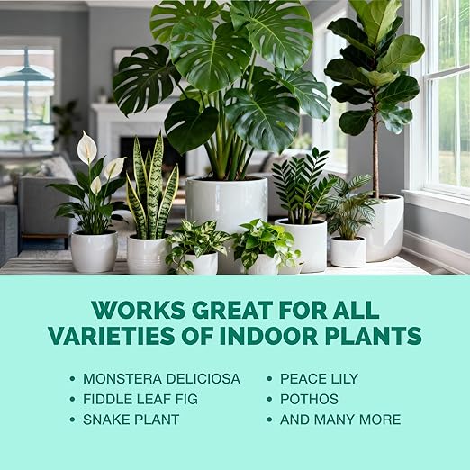 TPS NUTRIENTS Indoor Plant Food for Houseplants, Liquid Fertilizer, 1 Gallon (128 oz)