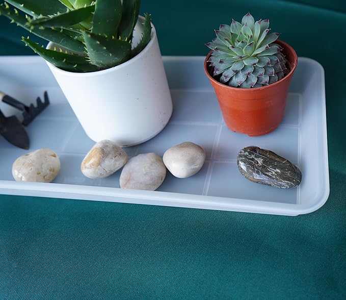 2 Pack of Plastic Plant Tray Saucer Rectangular, Plant Trays Saucers for Indoors Outdoor, Plant Water Drip Tray for Flower Pot Planter, Windowsill Plant Tray (6.5 X 13 Inch, Clear)