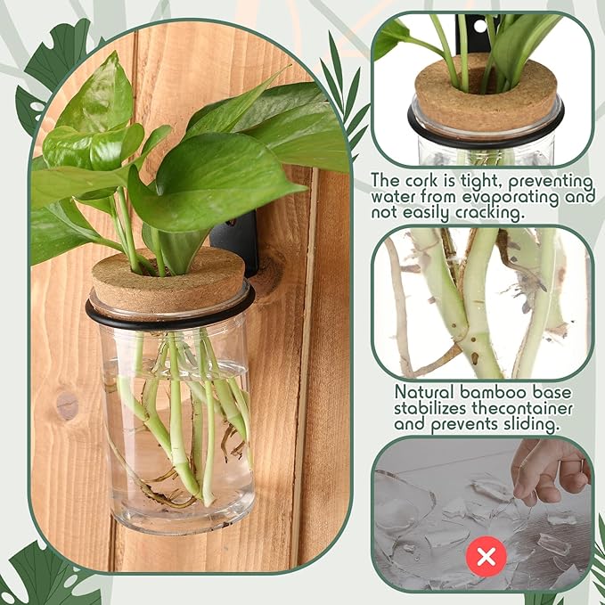 Baderke 6 Set Wall Plant Holder with Plastic Propagation Vases Hanging Planter Wall Mounted Set for Plants Growing in Water Hydroponic Artificial Plants Indoor Decor (2.48" X 3.94",Classic)