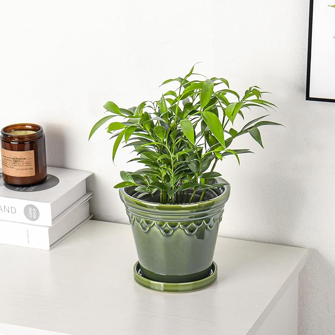 6.3 Inch Ceramic Planter, Plant Pot with Drainage Hole and Saucer, Decorative Glaze Flower Pot for Indoor Plants (Olive Green)