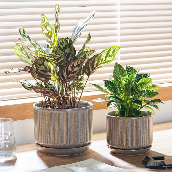 Speckle Gray Ceramic Plant Pots Set of 3, 4.3+5.5+6.7 Inch Indoor Flower Pot with Drainage Hole & Saucer & Hole Pads, Striped Decorative Planter Set for Indoor Plants, Gardening Pots & Accessories