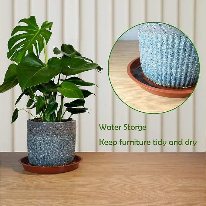6 Pcs 6 Inch Round Plant Saucers for Less 5 Inch Pot Indoors Outdoors Plant Trays for Pots Planter Saucer Plastic Drip Tray Planter Water Tray(Clear, 6"(6pcs))