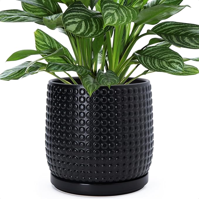 D'vine Dev 8 Inch Ceramic Beaded Stoneware Planter Pot - Flower Pot with Drainage Holes and Saucers for Indoor Succulent Plants or Flowers, Ebony Matte, 27-C-Q-6