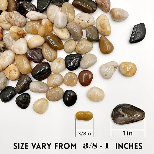 RITOLLO 6 lb River Rocks Pebbles for Indoor Plants 3/8-1 Inch Natural Aquarium Gravel Decorative Fish Tank Rocks Garden Landscaping Decor