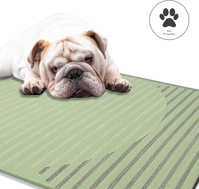 Fab Habitat Striped Outdoor Rug - Waterproof, Fade Resistant, Crease-Free, Reversible - Premium Recycled Plastic - Patio Porch Balcony Deck - Kyoto - Green - 8 x 10 ft