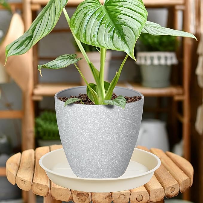 6 Pack of Plant Saucer Tray 11 12 inch, Heavy Duty Plastic Pot Plant Drip Trays Saucers for Indoors Outdoor, Plant Water Tray for Planters 11-12" (12", Beige)