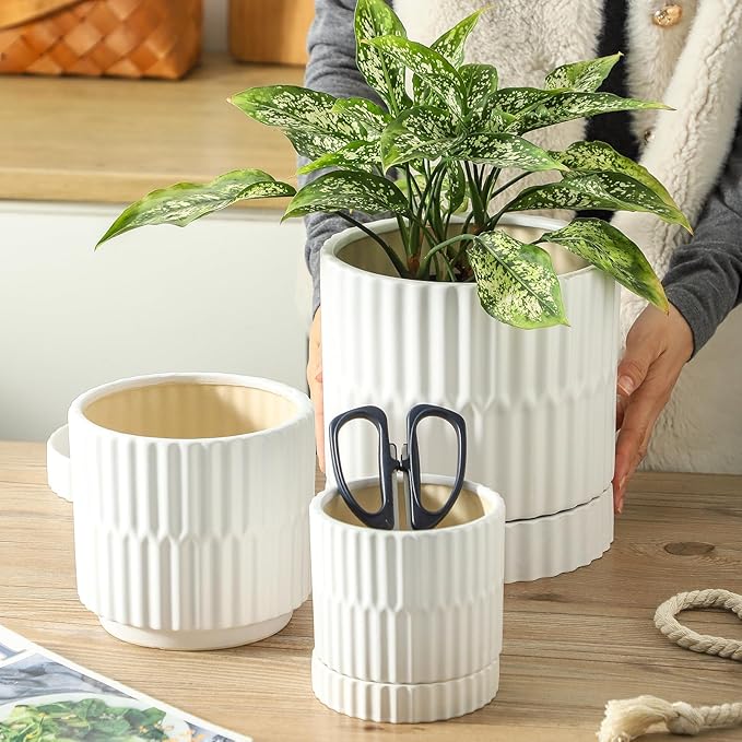 HASENSE Ceramic Plant Pots, 3-Pack (8/6/4.6 inch) Indoor Flower Planters with Vertical Ribbed Design, Drainage Holes & Saucers, Medium Cylinder Pots for Outdoor Plants, Modern White