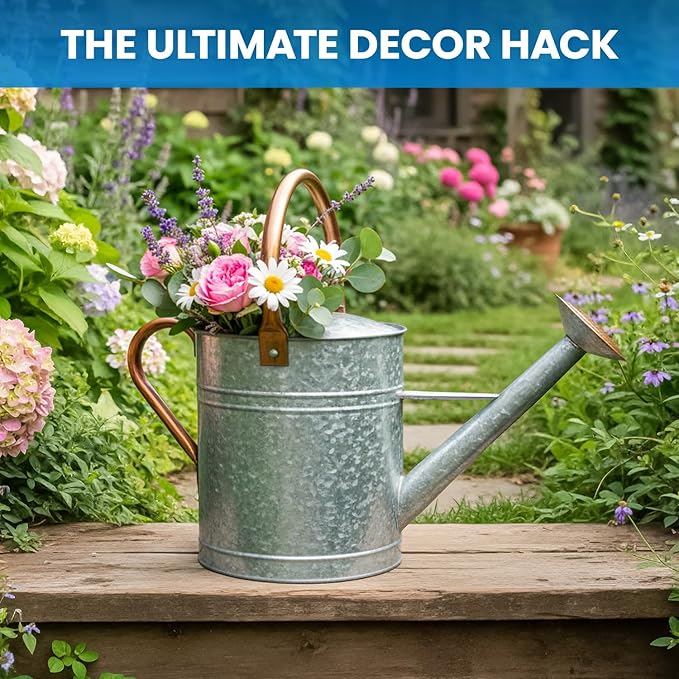 Plexon Large Metal Watering Can Outdoor 2 Gallon, Plant Flower Gardening Garden Watering Can Pot, Bronze Galvanized Steel Handles and Removable Spray Spout, Silver