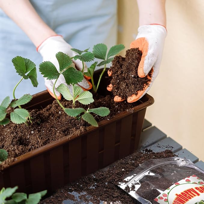 Organic Strawberry Soil Mix 2qt, Indoor Plants Potting Mix for All Potted Strawberry, Grow Healthy houseplants Indoors
