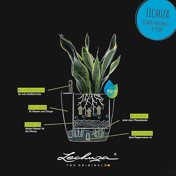 Lechuza 13224 Classico 35 Self-Watering Planter for Indoor and Outdoor Use, 14" x 14" x 13", Slate Matte